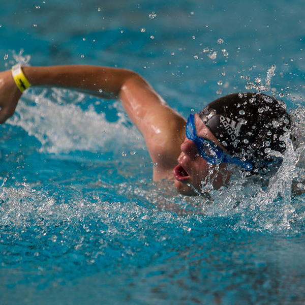 Sportart Schwimmen (Foto: SOD/ Stefan Holtzem)